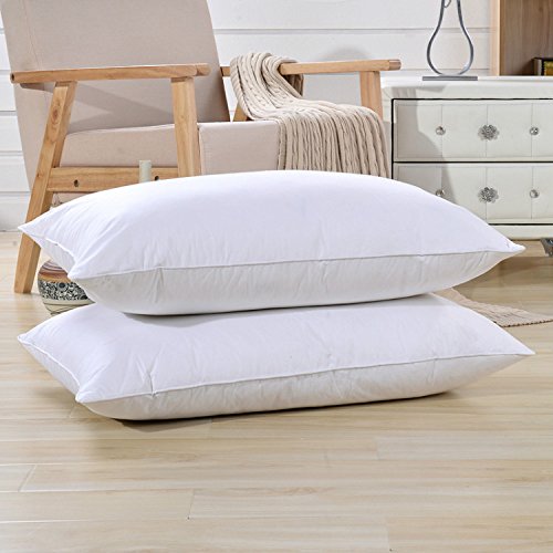 Premium White Goose Down Firm Pillow - 700 Fill Power, 38.8 oz, Size 18.9