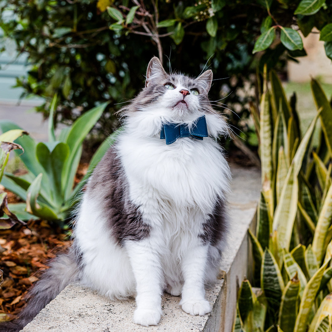 Stylish Navy Blue Leather Cat Bow Tie - Adjustable & Durable Pet Accessory for Kittens & Cats - Perfect for Photos, Parties & Special Occasions