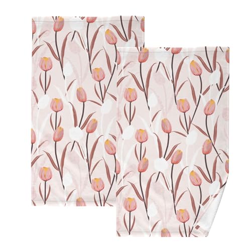Tulip Flowers