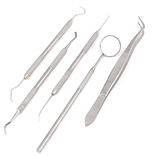 5-Piece Stainless Steel Dental Tool Set - Professional Teeth Cleaning Picks & Dentist Mirror for Oral Hygiene, Cavity Detection & Home Dental Care (PR-0061)