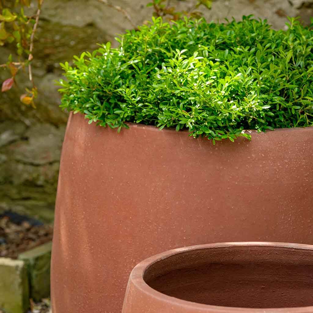 Campania International Potrero Planter Set of 3 - Terra Rosa Outdoor Flower Pots for Patio, Garden & Home Decor | Durable Resin Planters for Succulents, Herbs & Flowers