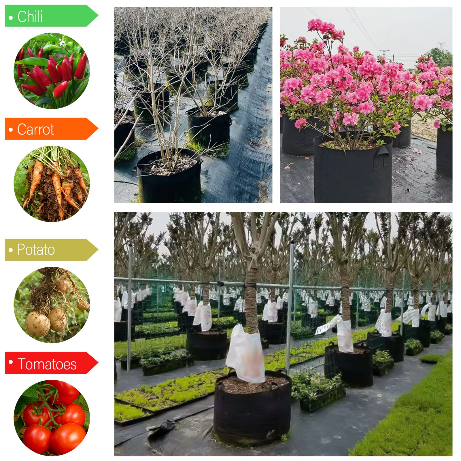 12 Pack 5 Gallon Heavy Duty Thickened Non-Woven Grow Bags with Handles - 300G Durable Plant Fabric Pots for Vegetables, Flowers, Herbs & Fruits - Ideal for Indoor/Outdoor Gardening, Balcony Planting & Container Gardening