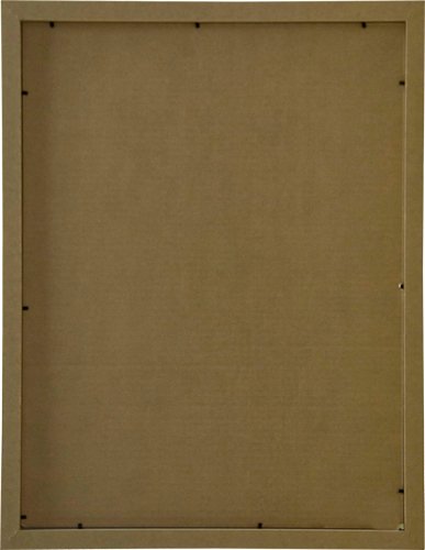 Frame USA Corporate Series 18x24 Wood Picture Frames - Black Satin Finish - Handcrafted in USA - Perfect for Artwork, Photos, Certificates & Office Decor