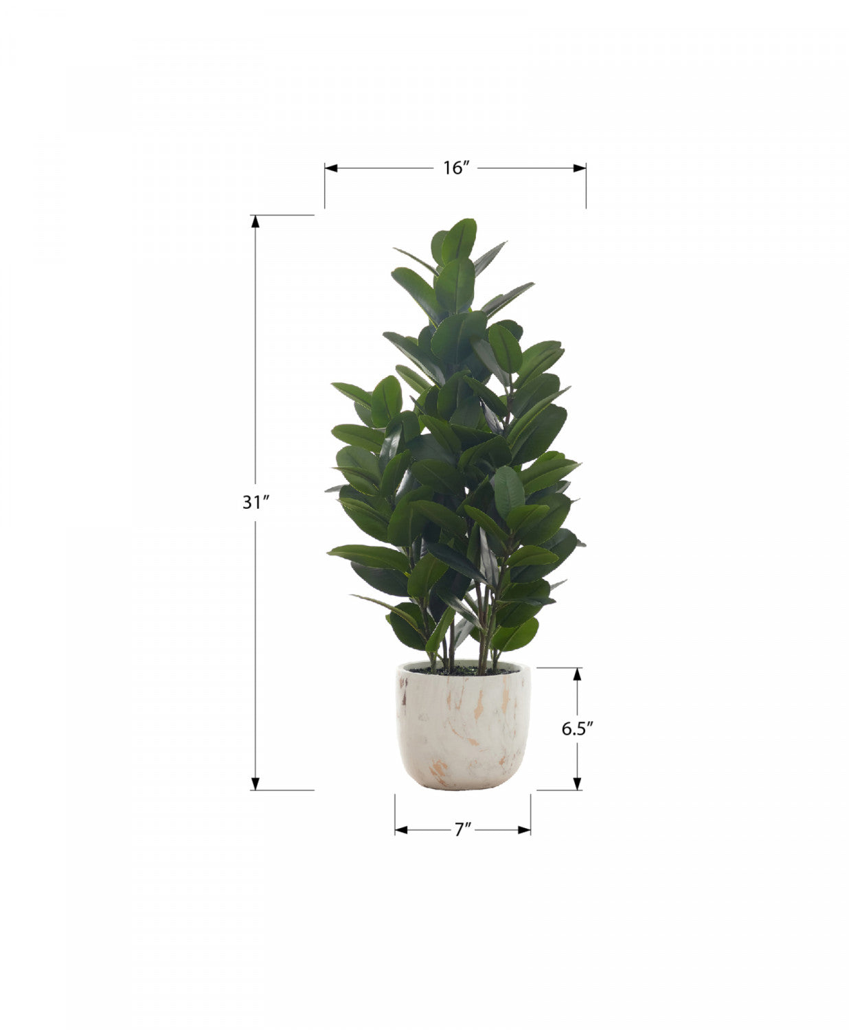31 Garcinia Tree in 7 Marble-Look Pot - Green Indoor Plant for Home Decor, Office, or Gift