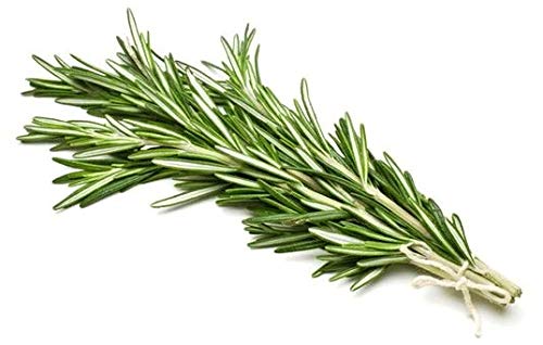 Rosemary