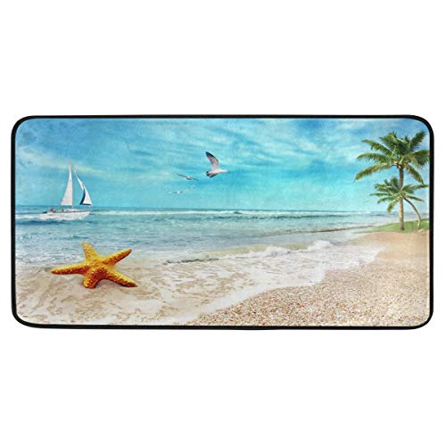 Seashore Beach Starfish