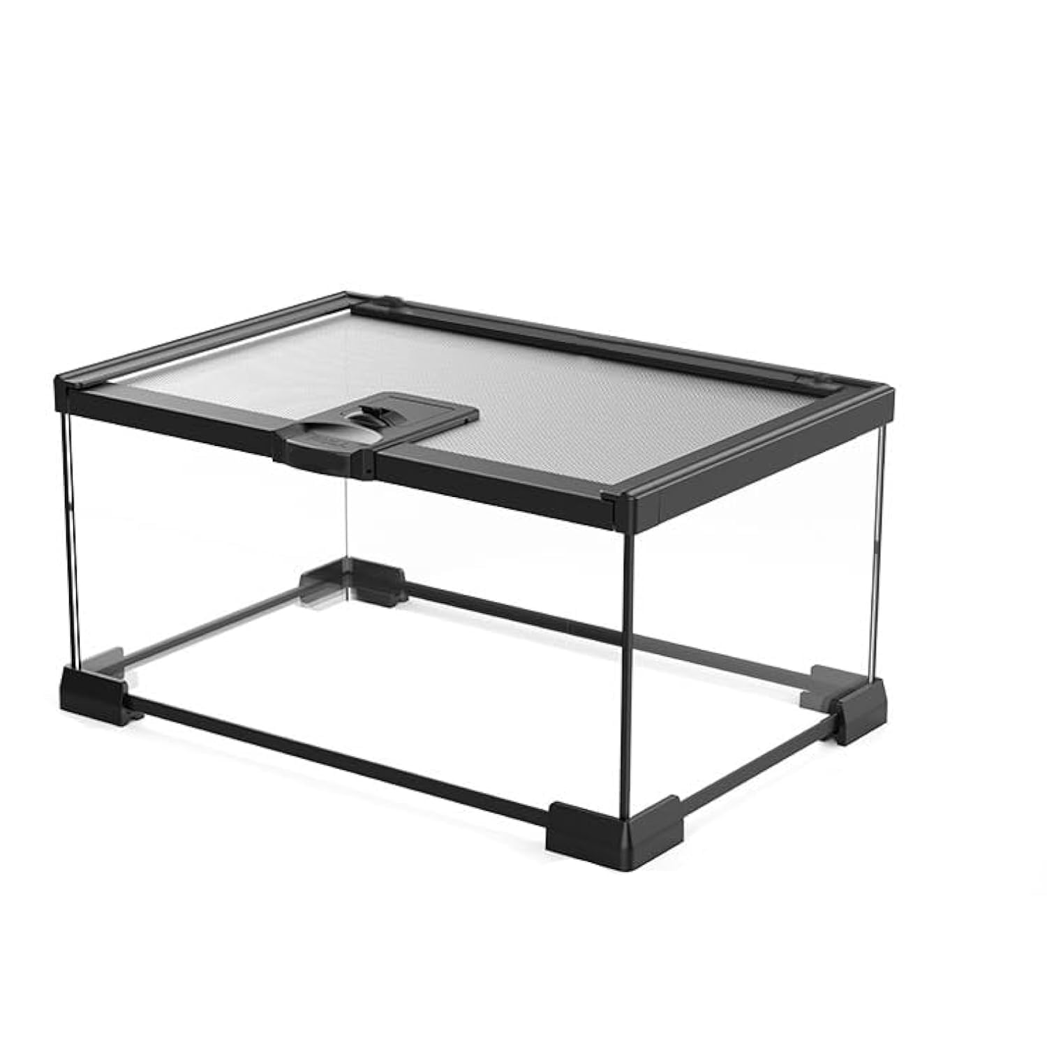 Mini Glass Reptile Terrarium Tank - 12x8x6 Inch Habitat for Tarantulas, Geckos, Frogs, Lizards, Chameleons, Turtles, Snakes & Insects | Perfect for Home, Office or Classroom Reptile Enclosure
