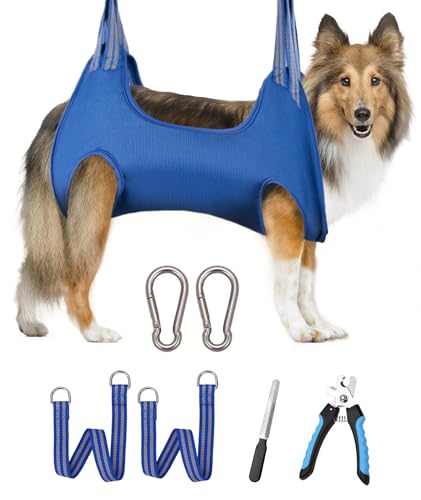 X-large 80lb Max/Blue