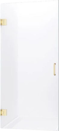 Anzzi SD AZ8075 02BG Passion Frameless Shower Door 30
