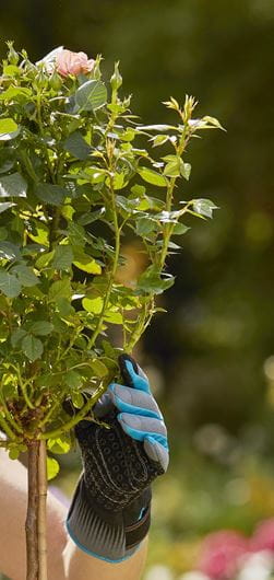 Gardena Thorn Proof Gardening Gloves for Cutting Roses - Durable & Comfortable for Pruning, Planting & Outdoor Work