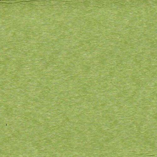 Tropical Lime
