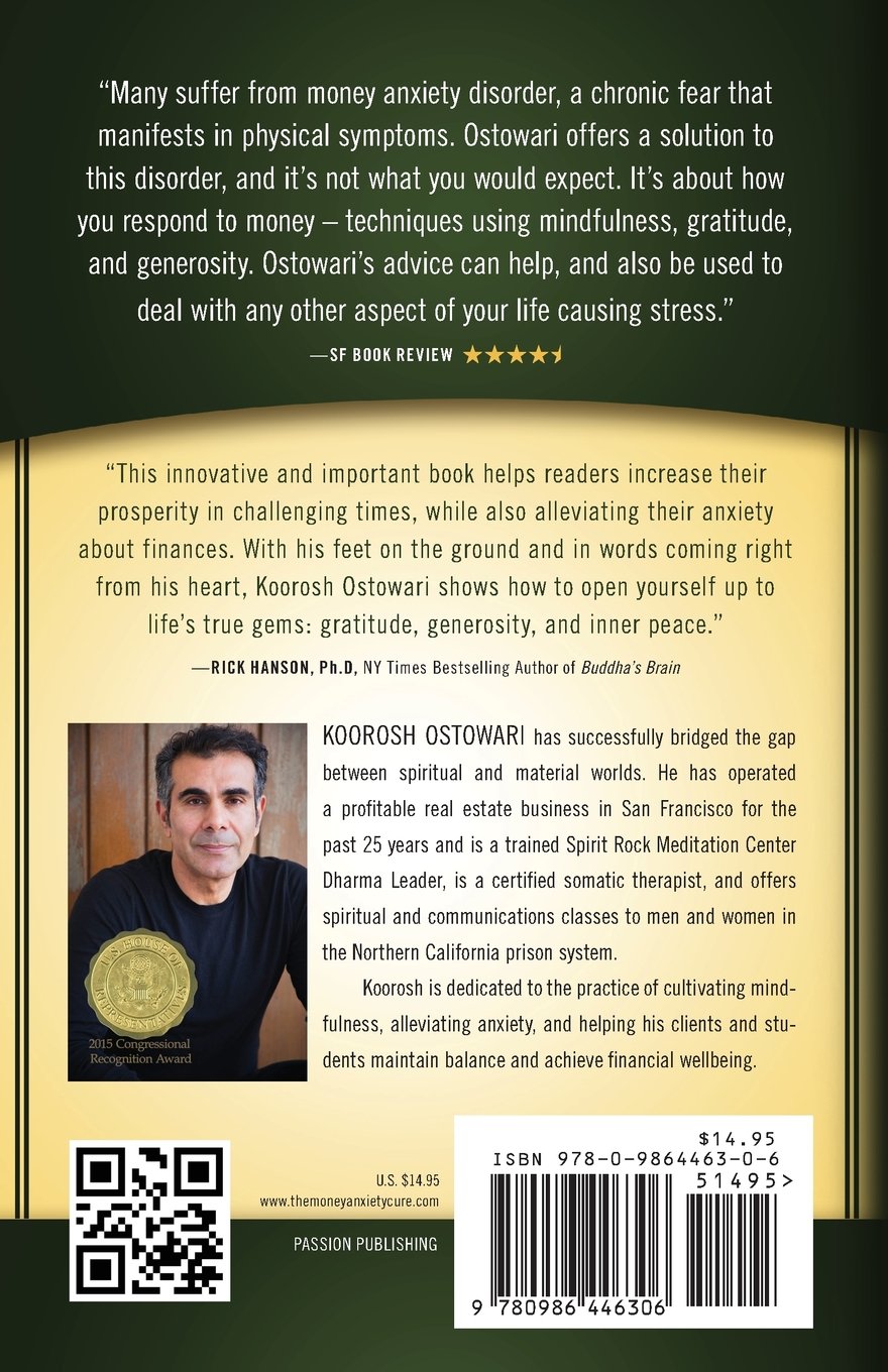 The Money Anxiety Cure: A Path to Financial Wellbeing - Overcome Financial Stress & Build Wealth | Personal Finance Book for Budgeting, Saving & Investing | Perfect for Career Professionals & Entrepreneurs