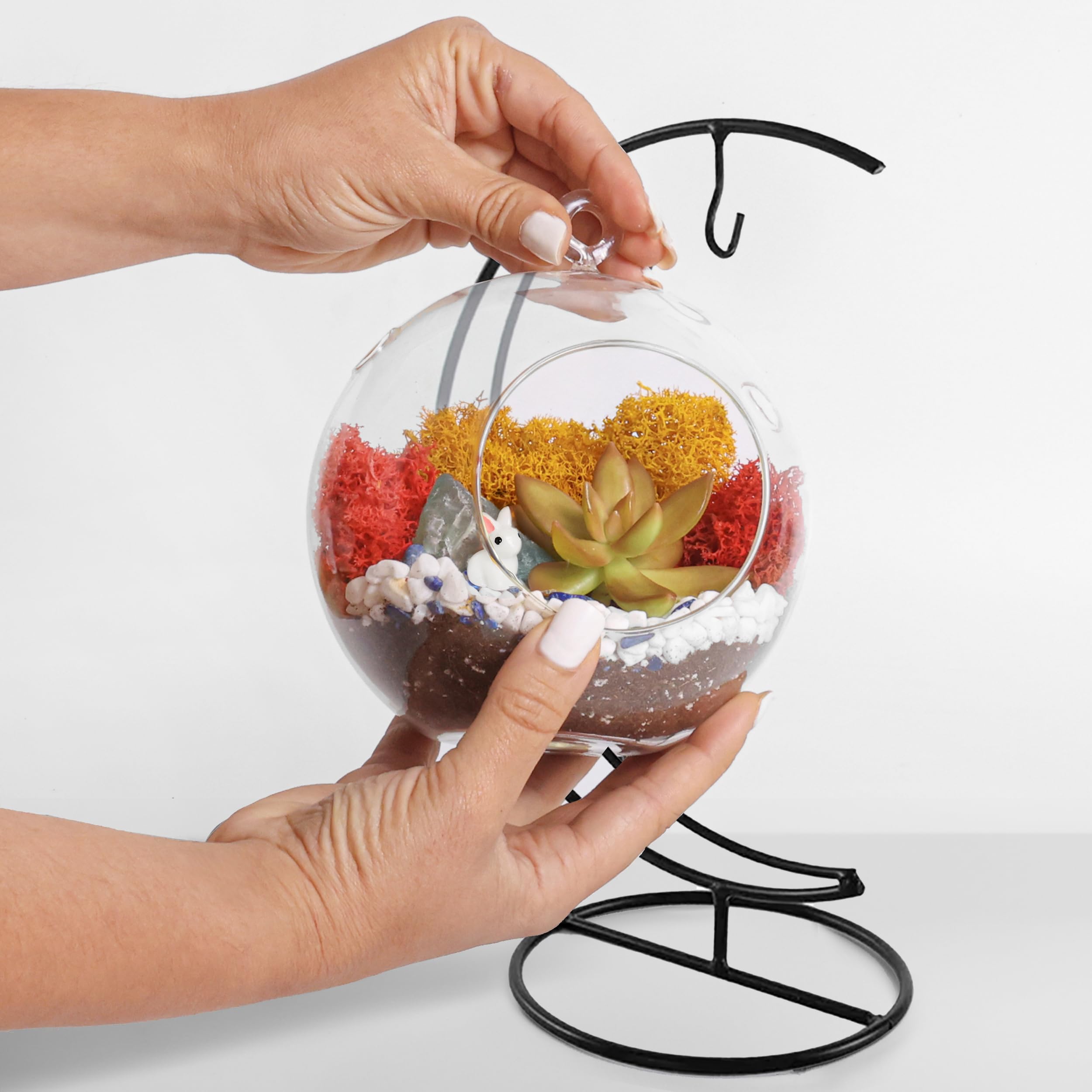 DIY Terrarium Kit for Adults & Kids - Complete Glass Hanging Planter with Stand, Moss, Crystals, Rocks & Mini Tools - Creative Home Decor & Educational STEM Gift for Plant Lovers (Perfect for Indoor Gardening, Office Desk Decor & Classroom Science Projects)