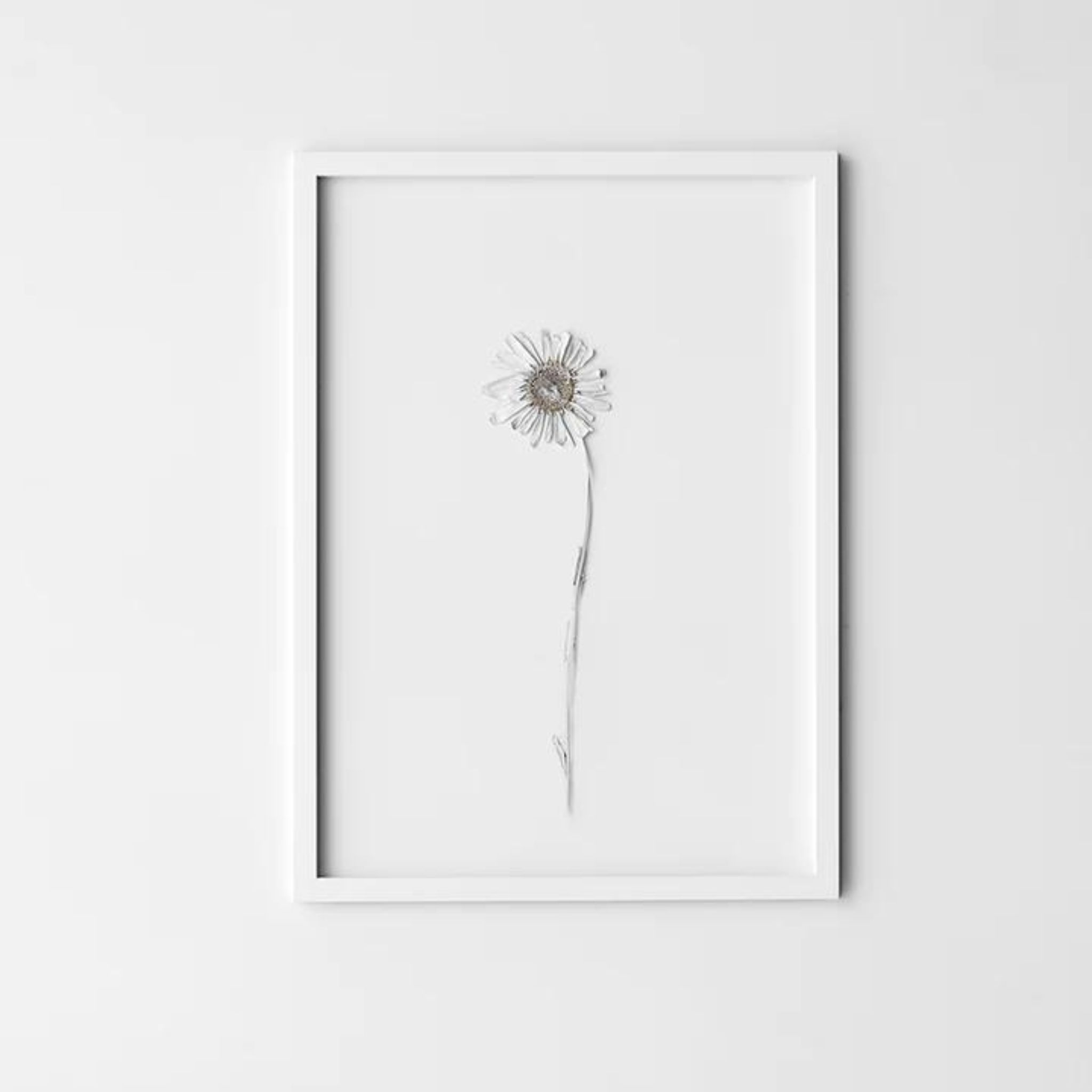 MOEBE White Powder Coated Picture Frame - 4 Sizes (8x10, 11x14, 16x20, 24x36) for Wall Art, Photo Display & Home Decor