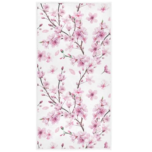 Cherry Blossoms