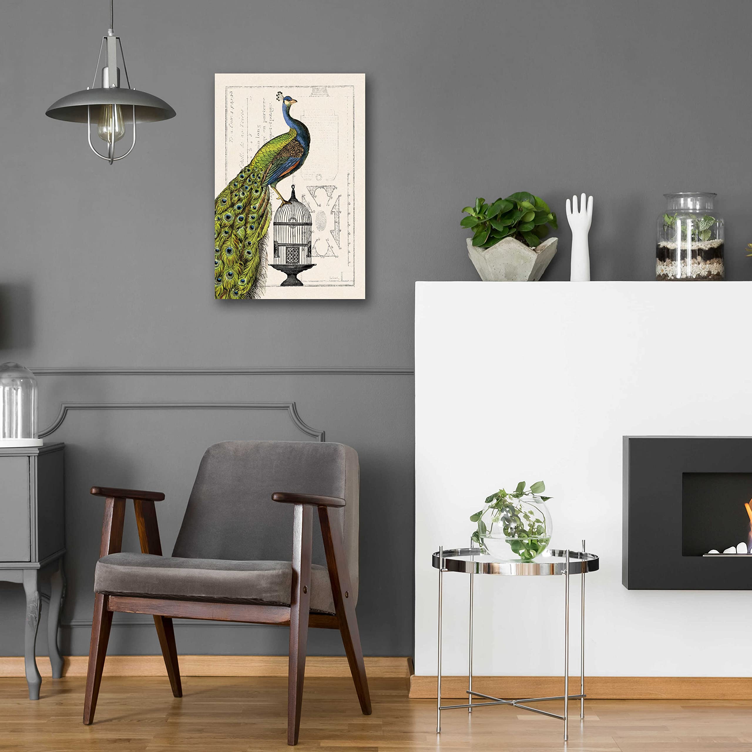 Epic Art 'Peacock Birdcage I' by Sue Schlabach - 16x24 Inch Acrylic Glass Wall Decor, Modern Home & Office Artwork - Perfect for Living Room, Bedroom or Gallery Wall Display