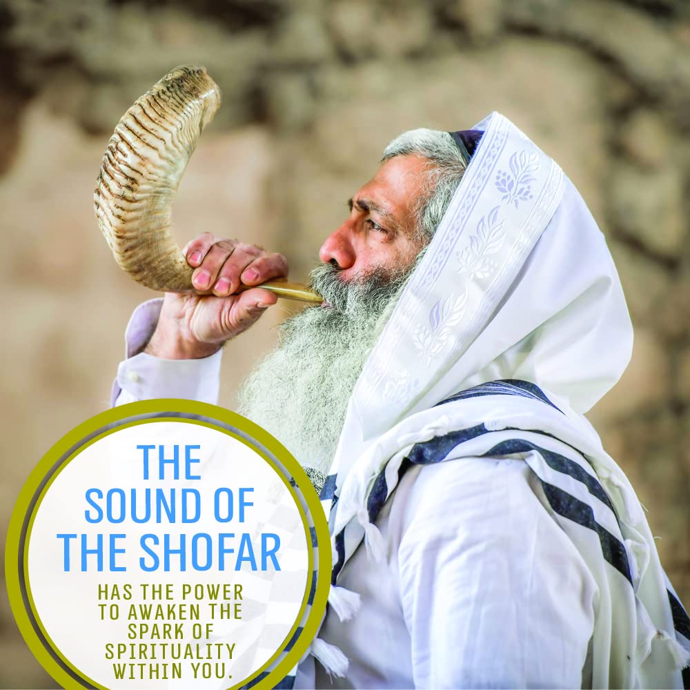 Holy Voice Handcrafted Kosher Ram Shofar from Israel 18