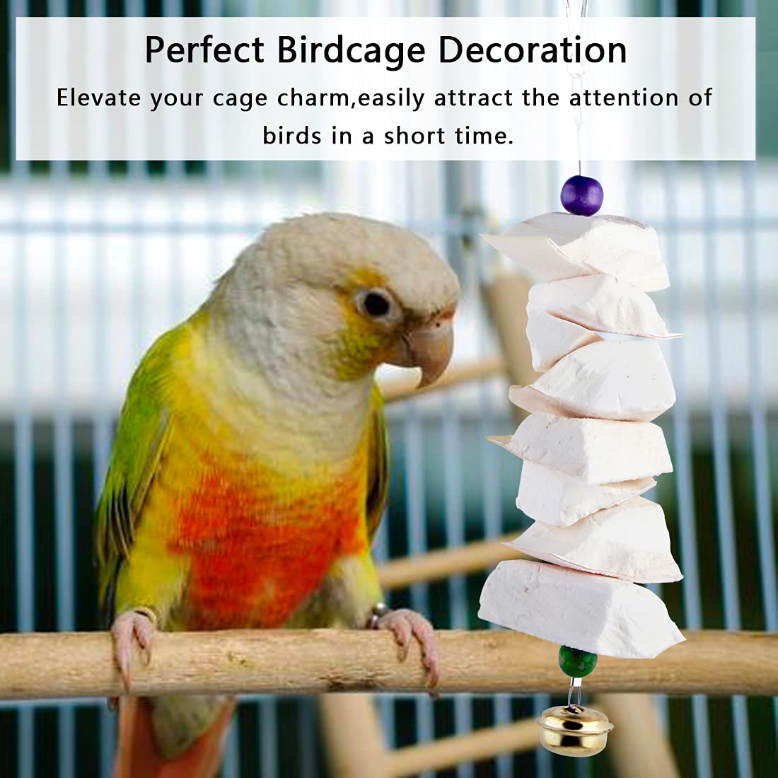 Cuttlefish Bone for Parrots - Natural Chewing Toy, Beak Grinding & Calcium Supplement - Bird Cage Accessories for Parakeets, Cockatiels & Small Birds (Set-A) - Perfect for Cage Enrichment & Healthy Beak Maintenance