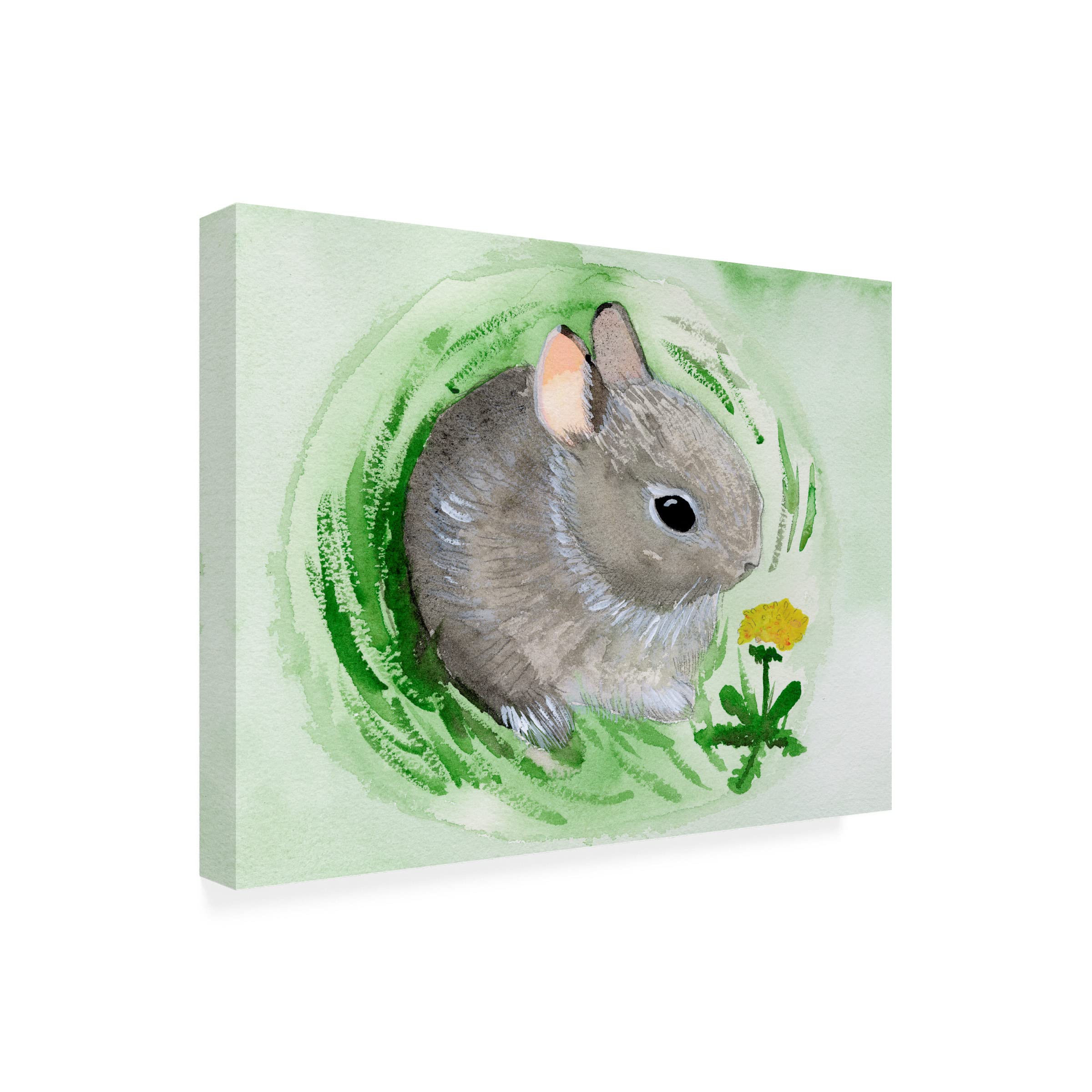 Trademark Fine Art 'Baby Spring Animals VI' Canvas Wall Art by Alicia Ludwig - Perfect for Nursery, Kids Room & Spring Home Decor