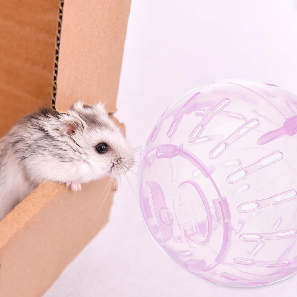Clear Hamster Exercise Ball - Safe & Fun Running Ball for Dwarf Hamsters, Guinea Pigs, Chinchillas | Pet Exercise Toy for Small Animals | Indoor Play & Fitness Activity for Rodents