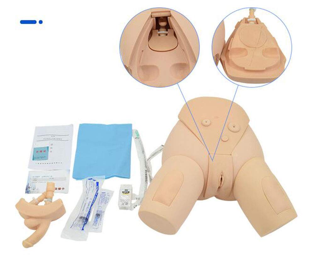GHDE&MD H17EF Male and Female Urethral Catheterization Simulator Kit - Medical Training Model for Nursing Students & Healthcare Professionals - Practice Urinary Catheter Insertion Techniques for Clinical Skills Development