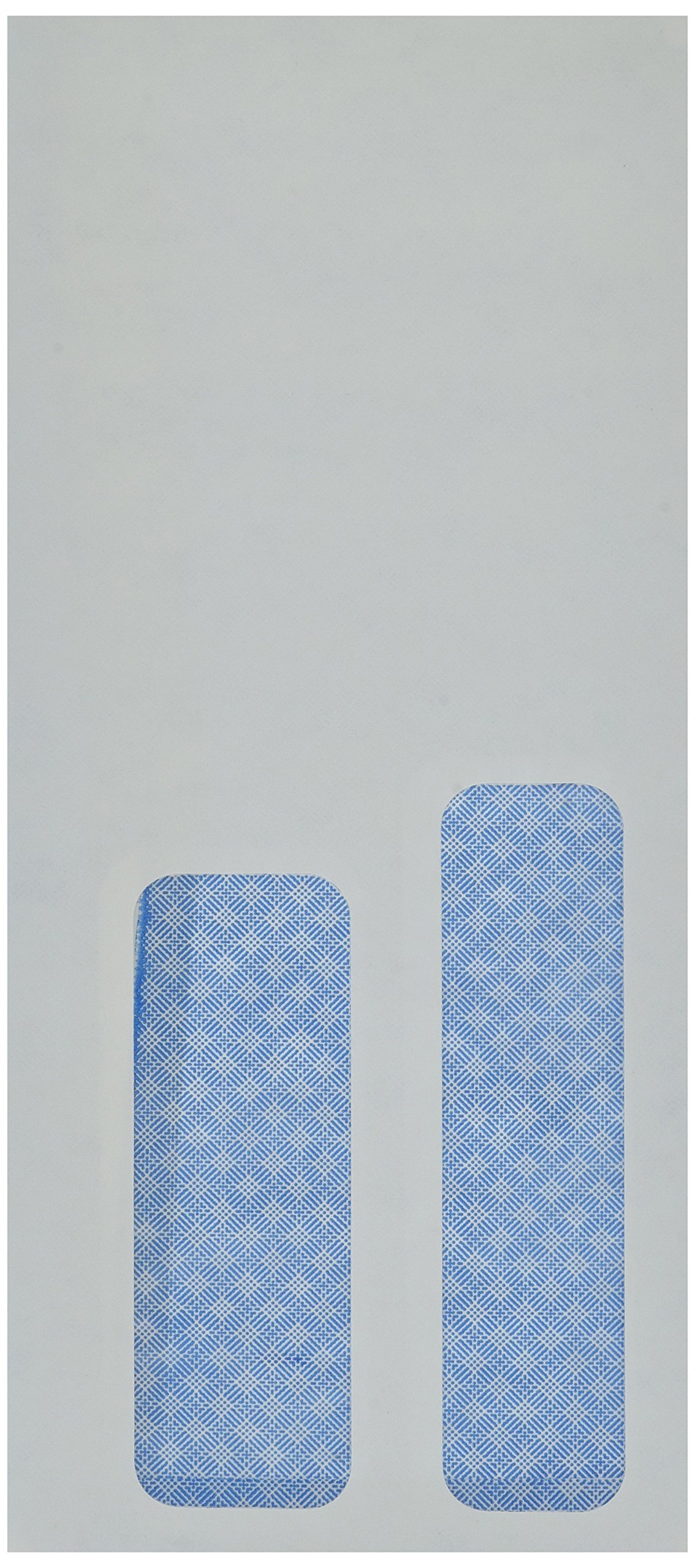 #9 Double Window Security Check Envelopes - Pack of 50 for Checks & Documents | Perfect for Business, Banking & Mailing Payments