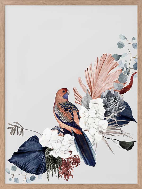 Blushing Rosella Poster - Vibrant Wall Art Decor for Living Room, Bedroom & Office - Perfect Gift for Bird Lovers & Nature Enthusiasts