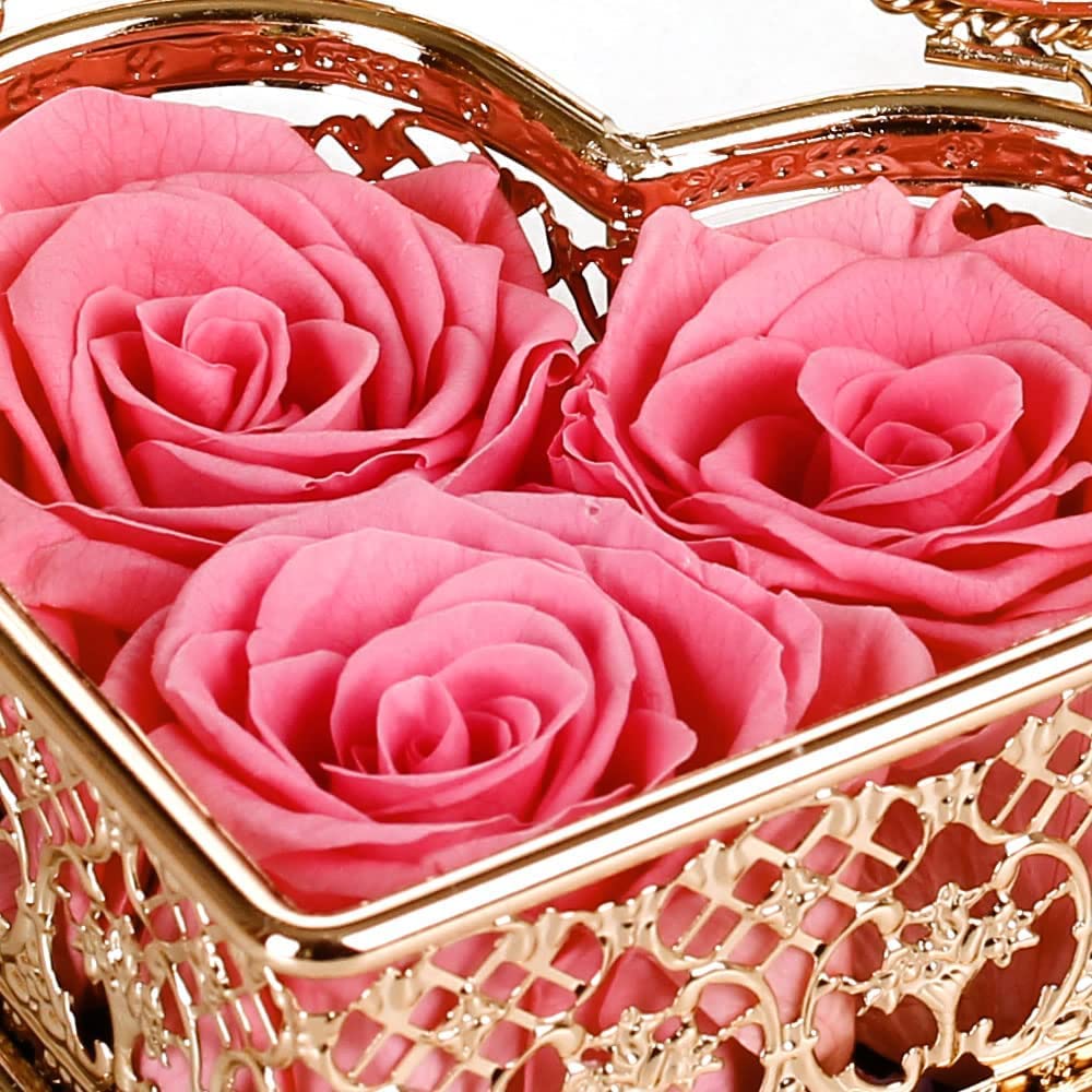Enchanted Real Preserved Roses in Heart Shaped Box - Long Lasting Eternal Flowers for Valentine's Day & Mother's Day Gifts - Luxury Elegant Metal & Glass Display Case - Perfect for Romantic Surprises, Anniversary Presents & Home Decor