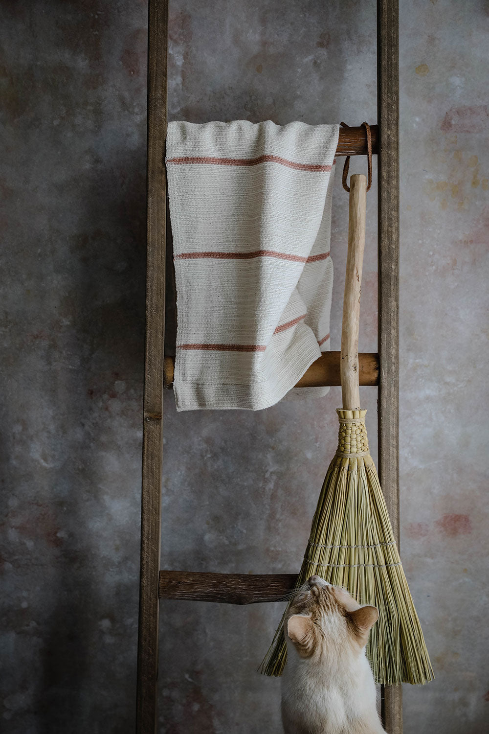 Soft & Absorbent Izzy Hand Towel - Quick Drying, Skin-Friendly for Bathroom, Kitchen & Gym Use