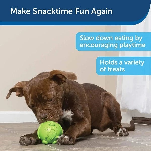 Busy Buddy Interactive Treat Dispensing Dog Toy - Fun Chew Toy for Small & Large Dogs - Perfect for Boredom Relief & Training - Indoor & Outdoor Play