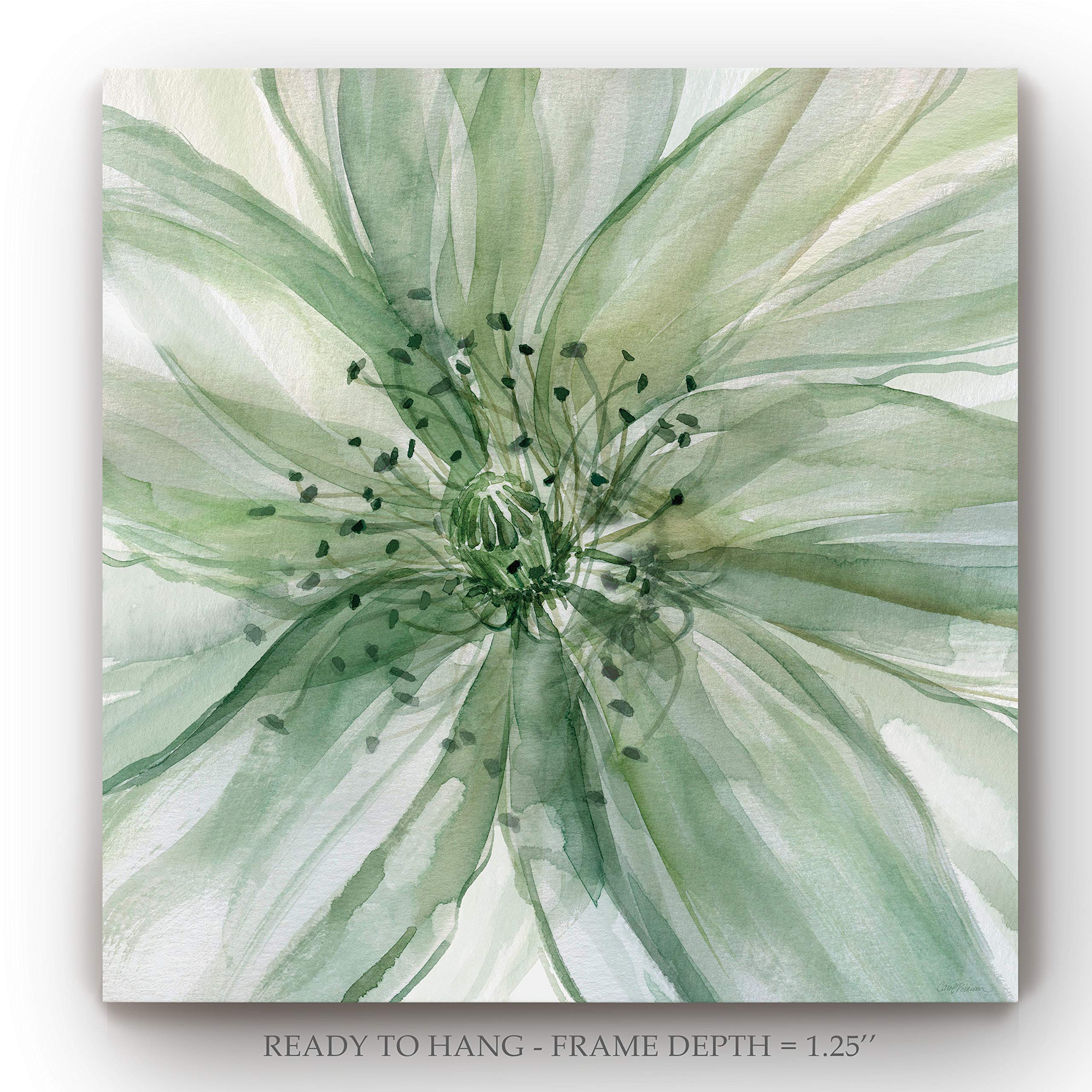 Green Macro Sage Flower Abstract Canvas Wall Art - 24
