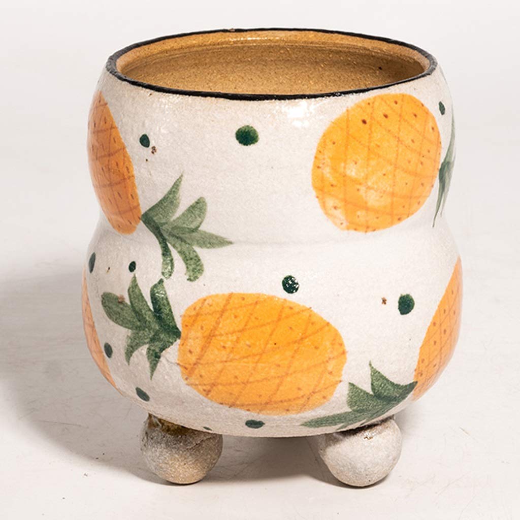 Creative Ceramic Fruit Plant Pot - Small Succulent Flower Pot for Desktop, Home & Garden Decor - Nordic Minimalist Style (Color: C) - Perfect for Office, Living Room & Balcony Decorations