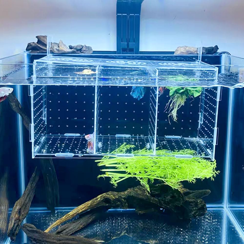 Acrylic Fish Breeding Box - Aquarium Hatchery & Isolation Tank with Suction Cups for Baby Fish, Shrimp & Clownfish (11.8x5.9x5.9 Inch) - Perfect for Fry Protection, Quarantine & Breeding in Home Aquariums
