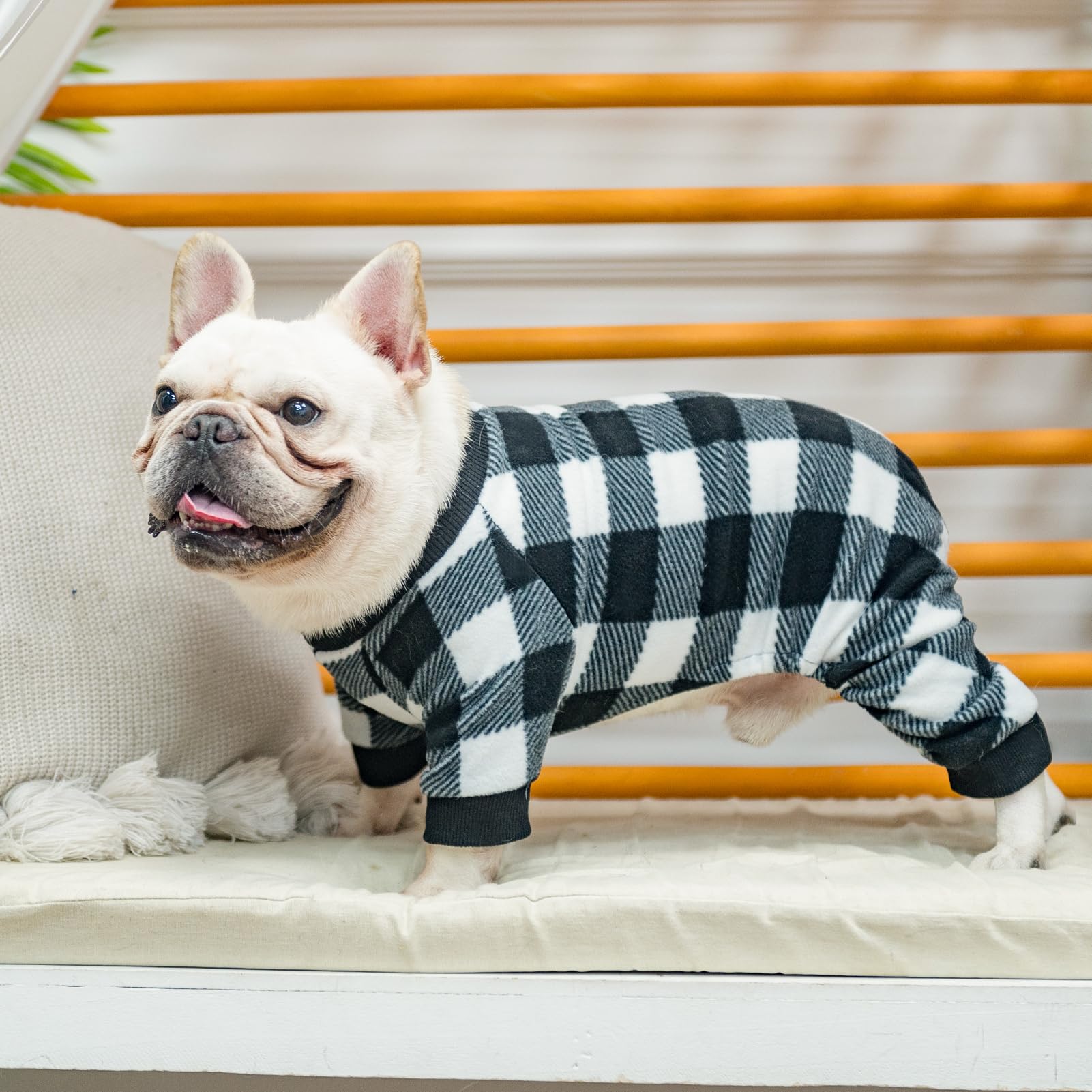 SCENEREAL Dog Pajamas for Small to Large Dogs - Soft & Warm Pet Sweater Onesie Outfits for Winter & Christmas - Cozy Puppy Jammies Pjs - Perfect for Indoor Lounging, Holiday Photos & Cold Weather Comfort