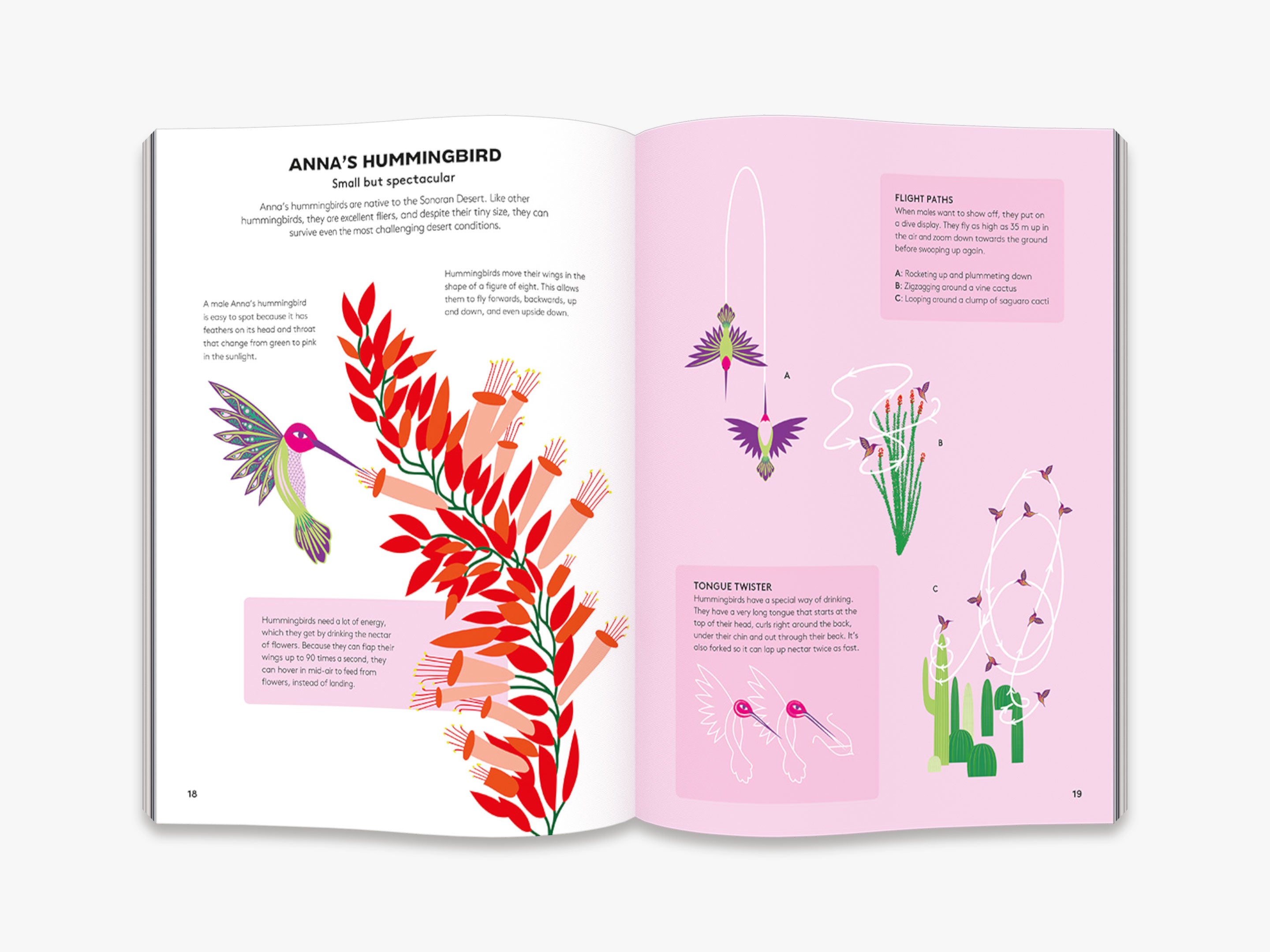 Hoot and Howl Across the Desert - Extreme Environments Book for Kids | Desert Wildlife & Survival Adventure | Perfect for Classroom Learning & Nature Exploration