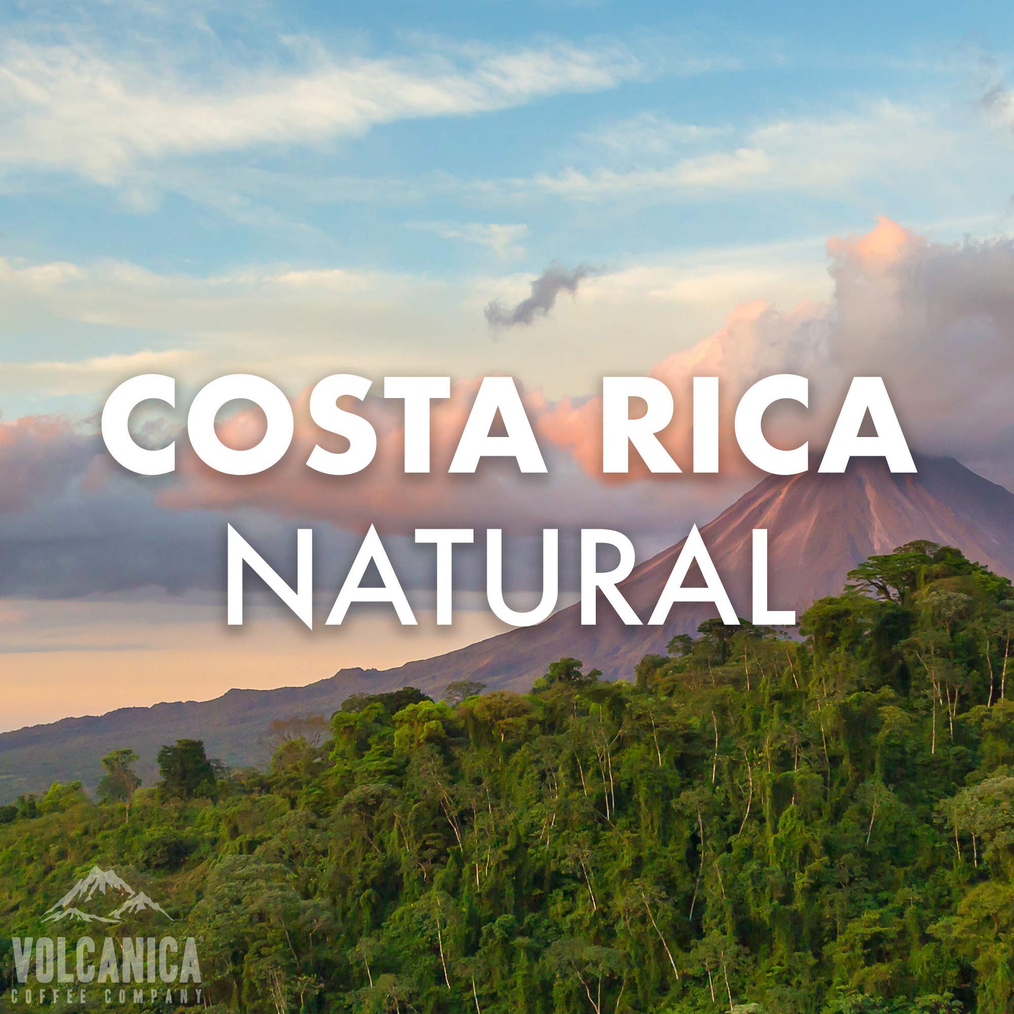 Premium Costa Rican Coffee Beans - 100% Arabica, Natural Process, Whole Bean, Fresh Roasted, 5 lb Bag - Perfect for Home Brewing, Office Use & Gifts
