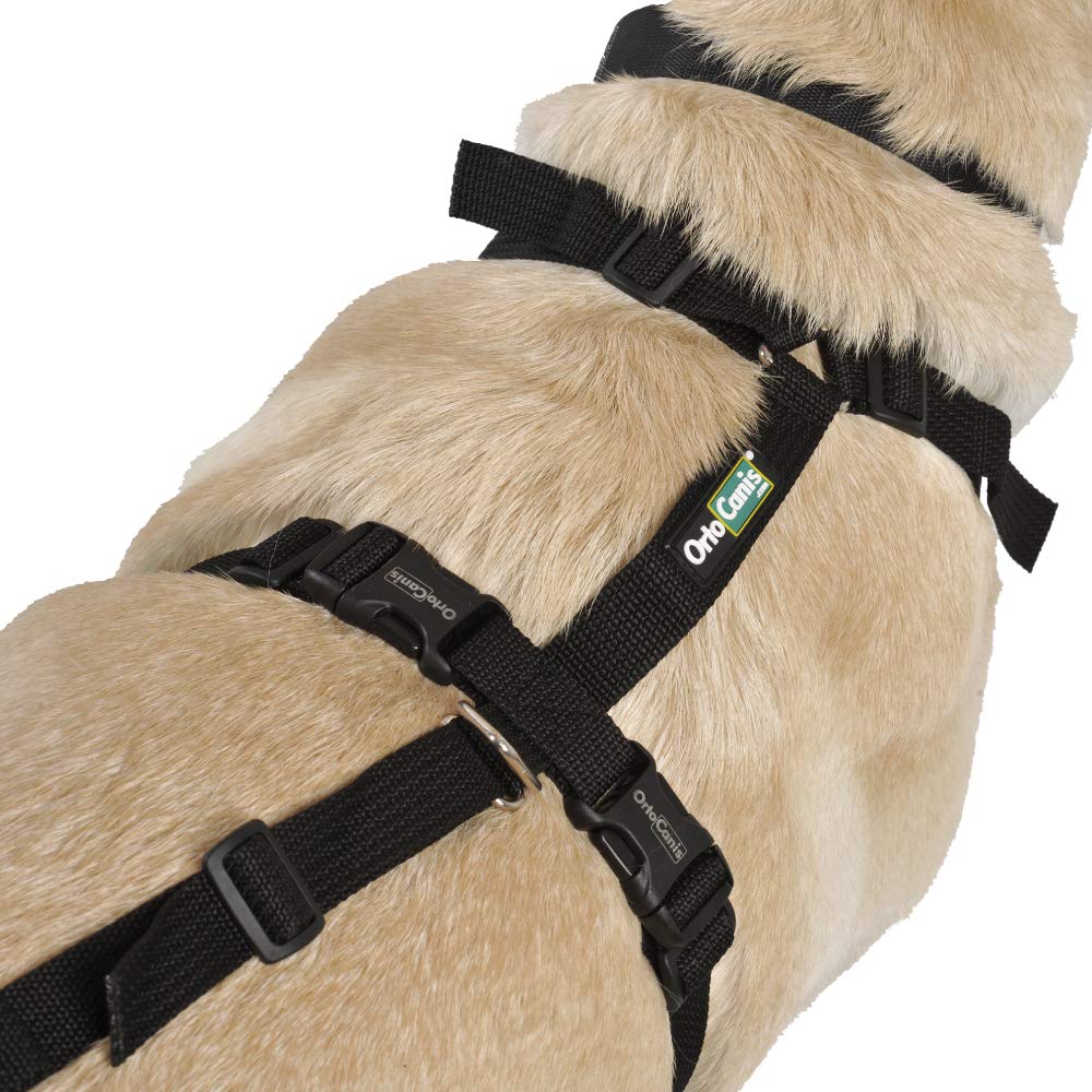 Ortocanis Full-Body Dog Harness for Fore and Hind Leg Support - Adjustable Pet Mobility Aid Vest for Small Dogs (Size S) - Ideal for Senior Dogs, Post-Surgery Recovery & Daily Walking Assistance