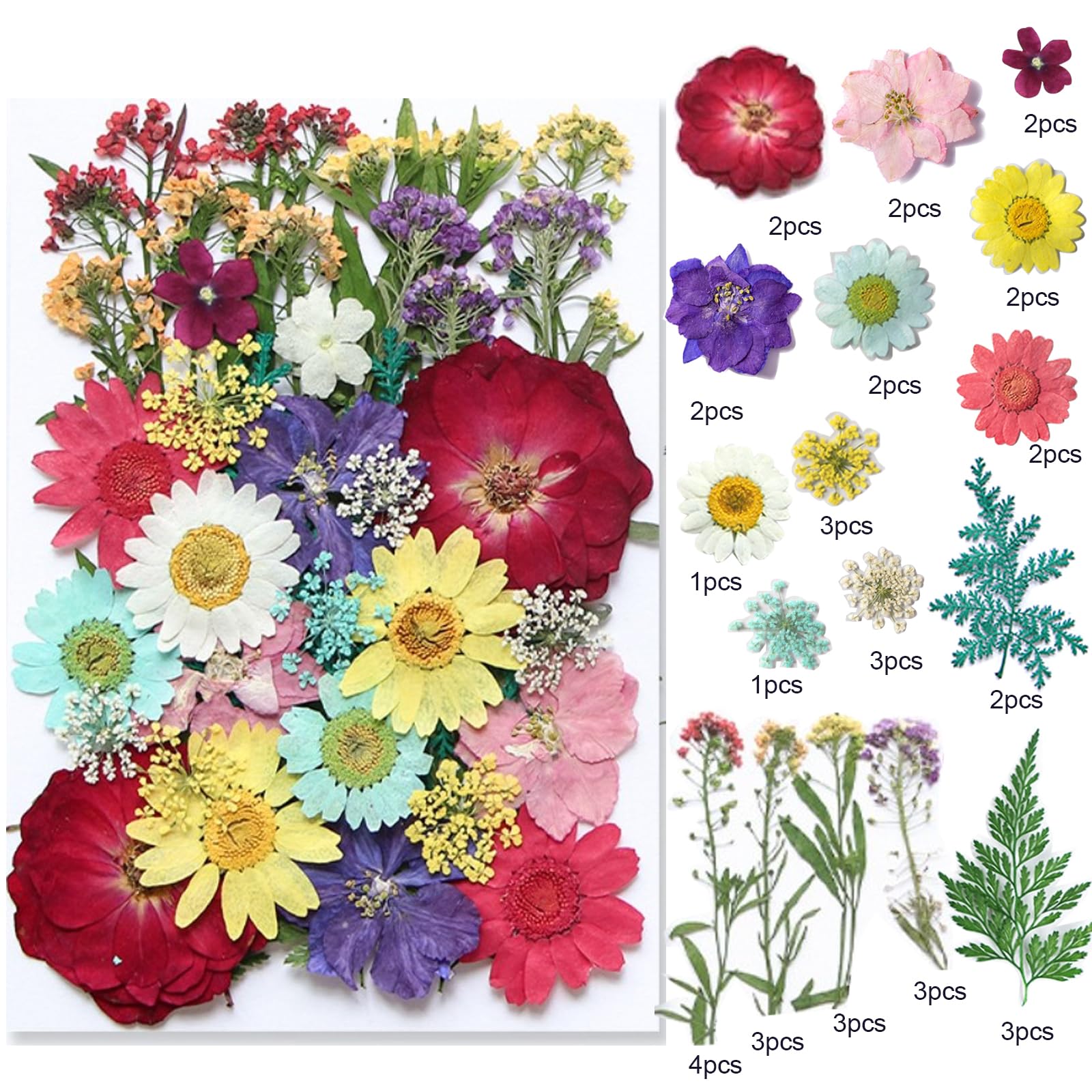40 Pcs Dried Pressed Flowers for Resin DIY Art Crafts - Natural Herbs Leaves & Dry Plants for Epoxy Jewelry, Floral Decor, Cakes, Phone Cases, Candles & Handmade Soap - Perfect for Summer Wedding, Home Decor & Scrapbooking Projects