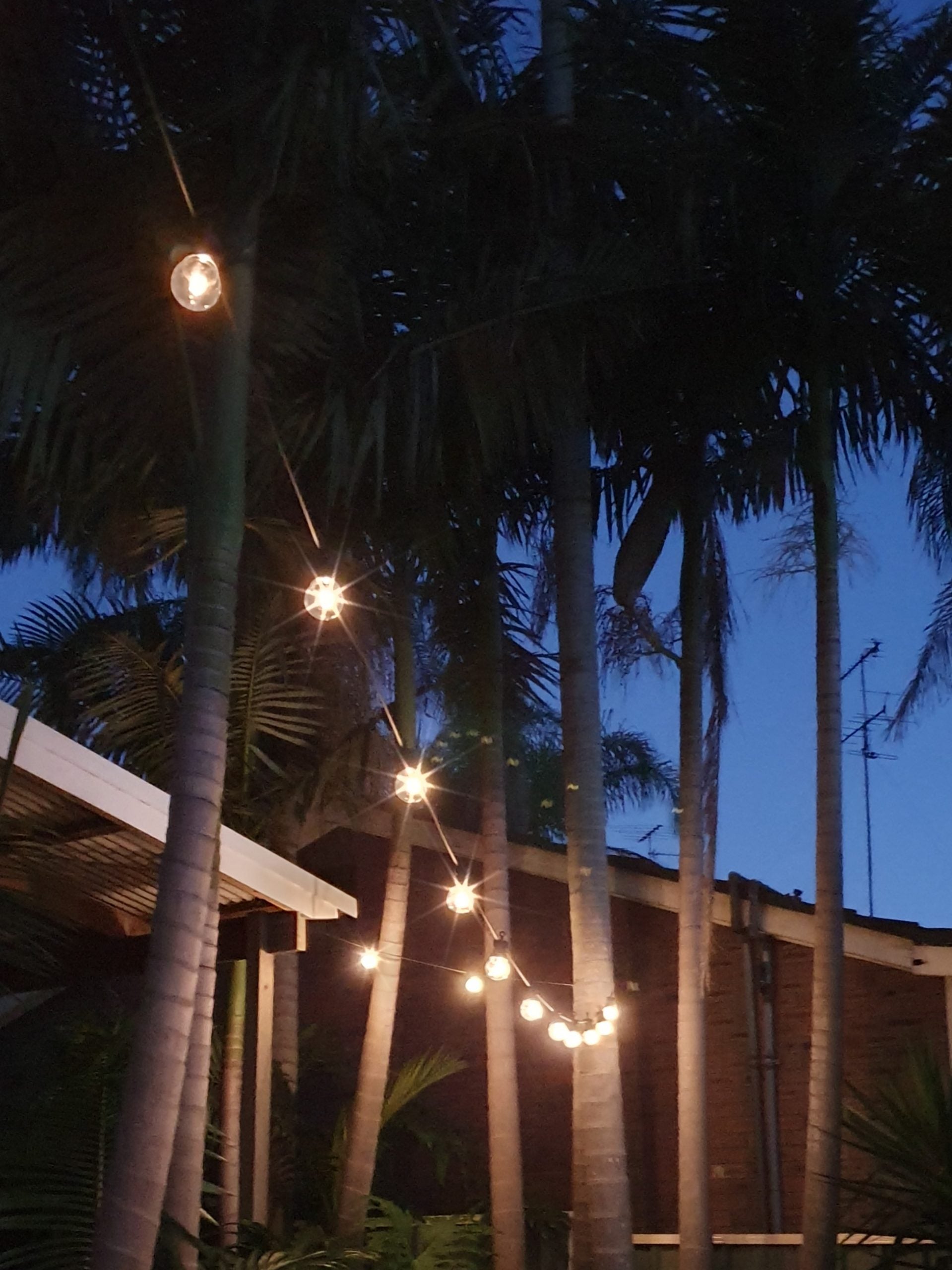 24V LED Festoon String Lights - 10m Clear Filament Warm White (20 Replaceable Bulbs, 0.6W Each) - Perfect for Outdoor Patio, Garden Party & Holiday Decorations