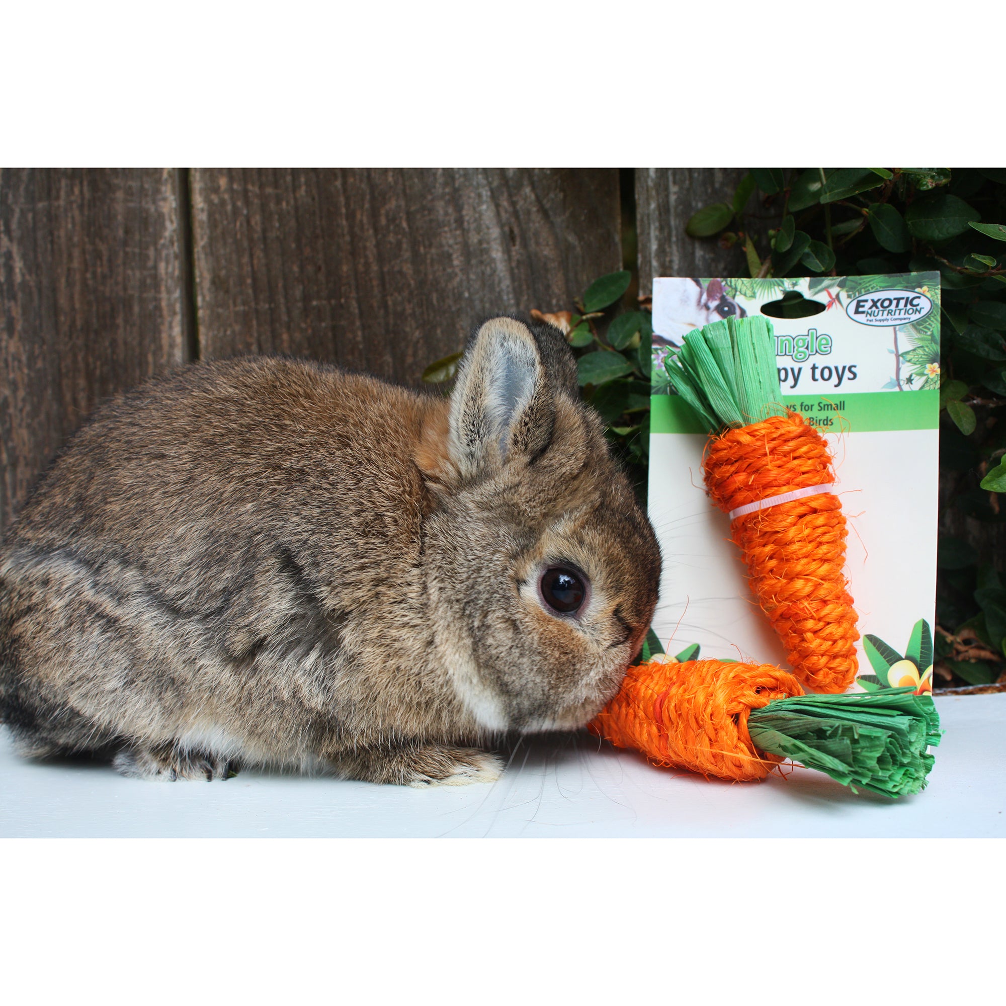 Natural Woven Grass Carrot Chew Toy for Dogs - Safe & Durable Pet Chew for Teething, Anxiety Relief & Dental Health - Perfect for Small & Medium Breeds
