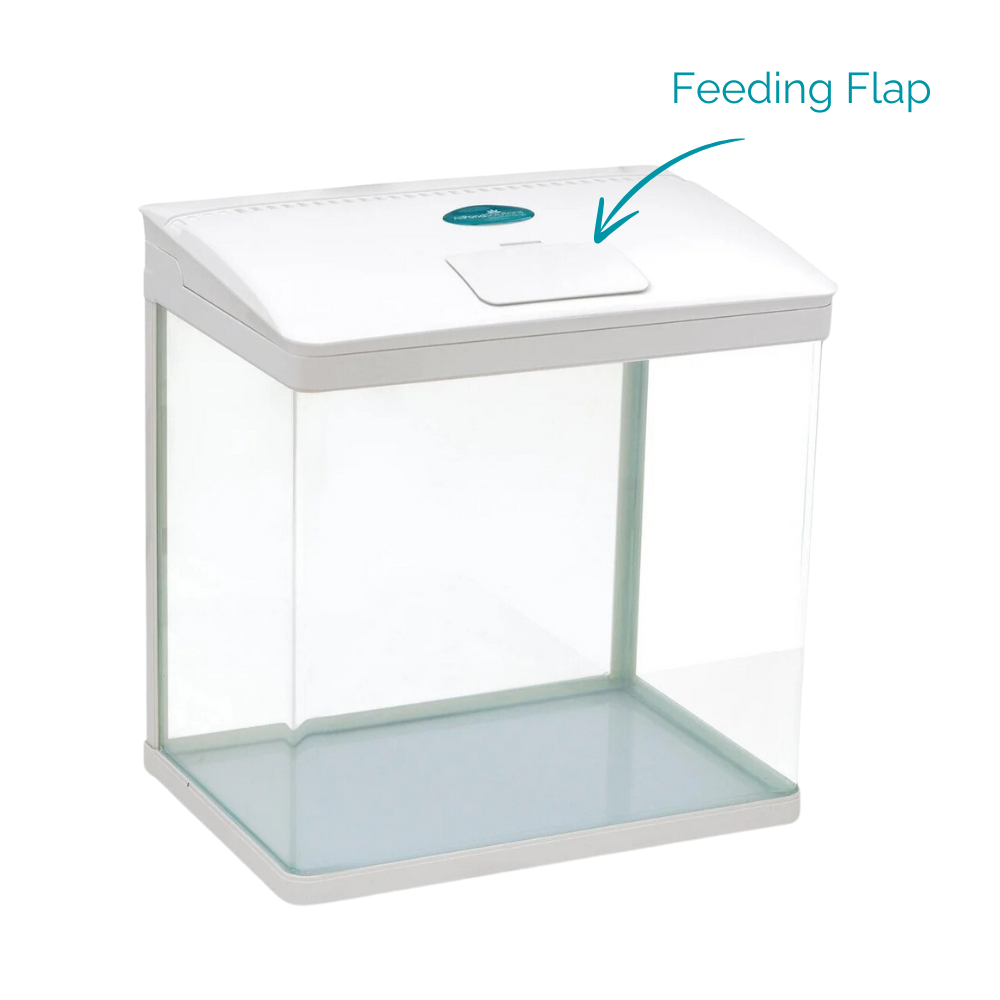 6 Color Small 29 Liter Nano Fish Tank - Compact Aquarium for Home, Office & Classroom | Perfect for Betta Fish, Shrimp & Small Aquatic Pets