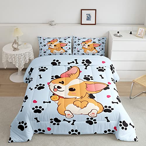 Cute Corgi