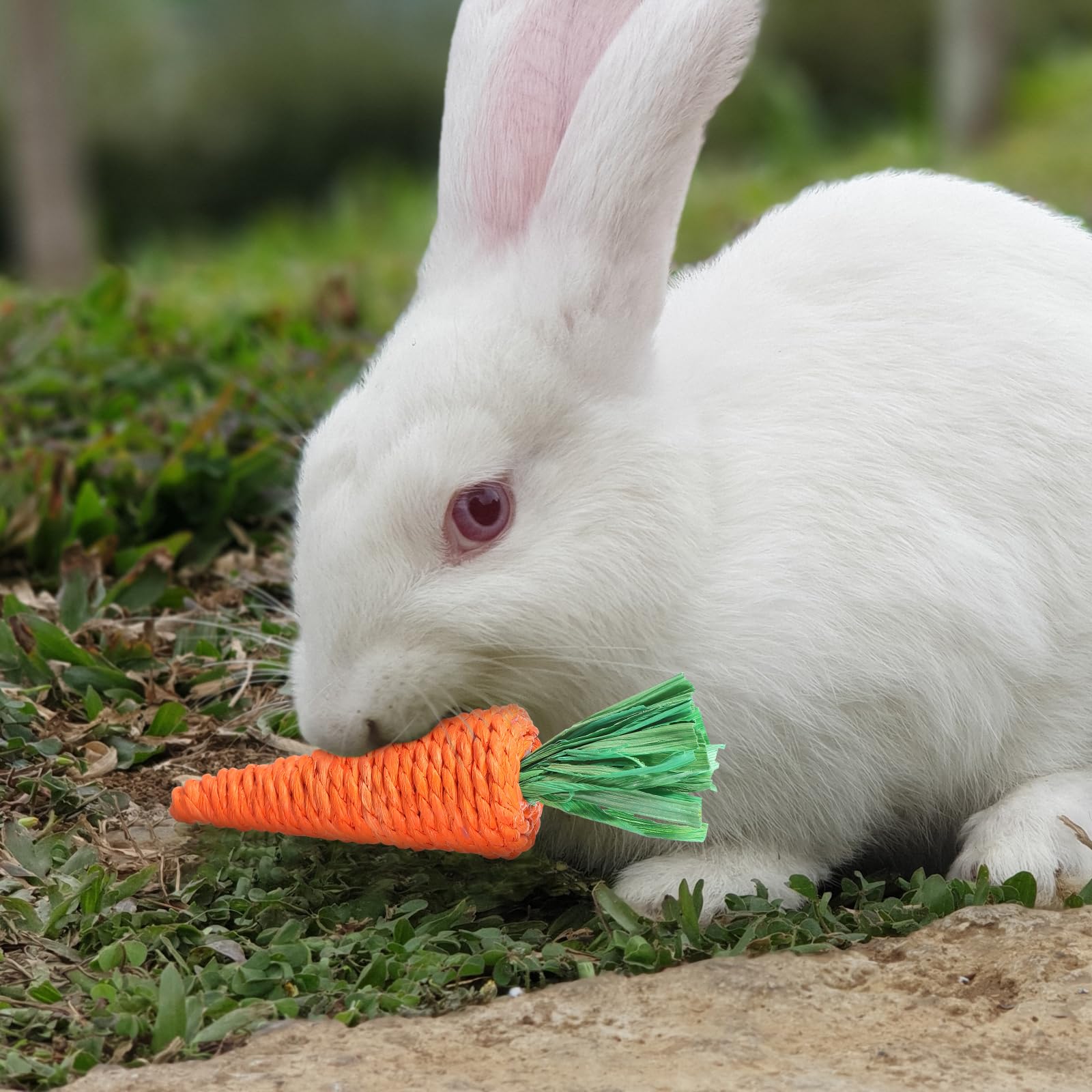 Didiseaon 6pcs Bunny Teething Toys - Carrot Rabbit Chew Toys for Small Animals, Guinea Pig, Hamster, Rat, Gerbils & Chinchilla - Safe Molar Gnawing Treats with Straw Grass for Dental Health and Stress Relief