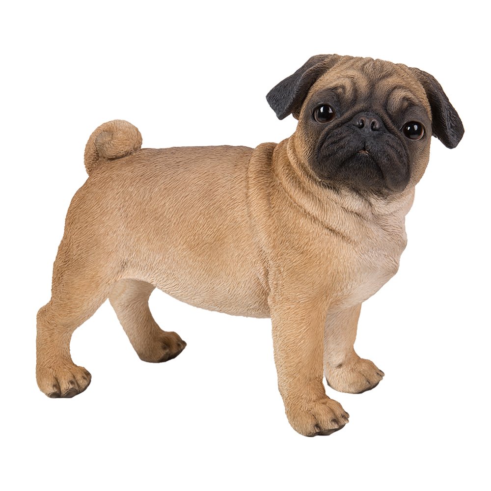 Realistic Life-Size Pug Statue - 13 Inch Hand-Painted Resin Dog Sculpture with Glass Eyes | Highly Detailed Home Decor Collectible | Perfect for Living Room, Office Desk & Garden Decorations