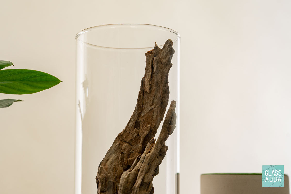 DIY Miniature Terrarium Kit for Home Decor - Complete Glass Garden Set with Plants & Accessories | Perfect for Office Desk, Living Room Centerpiece & Gift Ideas