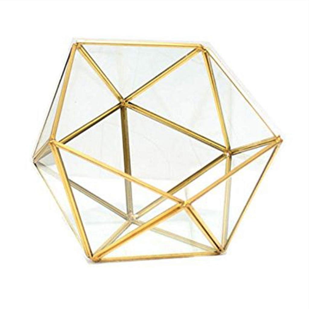Glass Geometric Terrarium Box - Jewelry Holder & Succulent Planter for Home Decor (Black/Gold, No Plant Included) | Perfect for Tabletop Display, Wedding Centerpieces, and Office Desk Decor