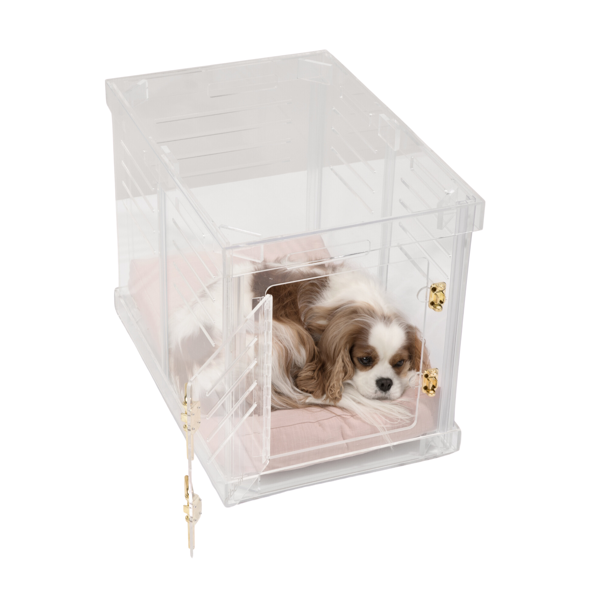 Clear Plastic Dog Crate with Removable Gate - Portable Pet Carrier for Small to Medium Dogs - Perfect for Travel, Training & Home Use