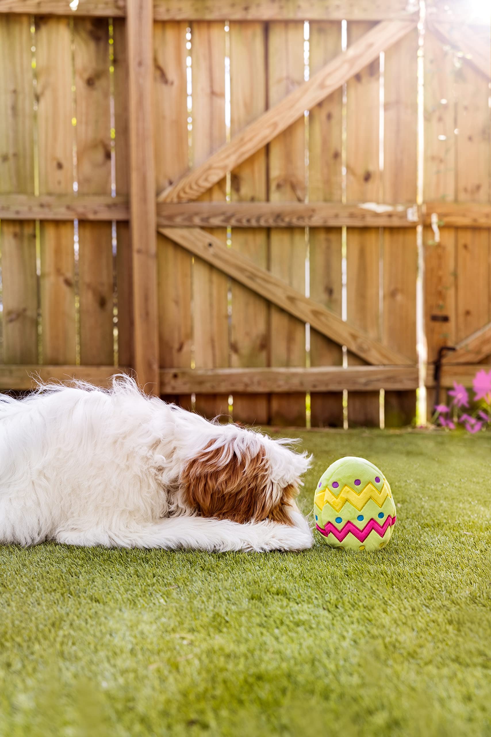 Midlee Plush Easter Egg Dog Toy with Squeaker - Large Green Chew Toy for Small & Medium Dogs - Perfect for Easter Gifts, Training Rewards & Playtime Fun
