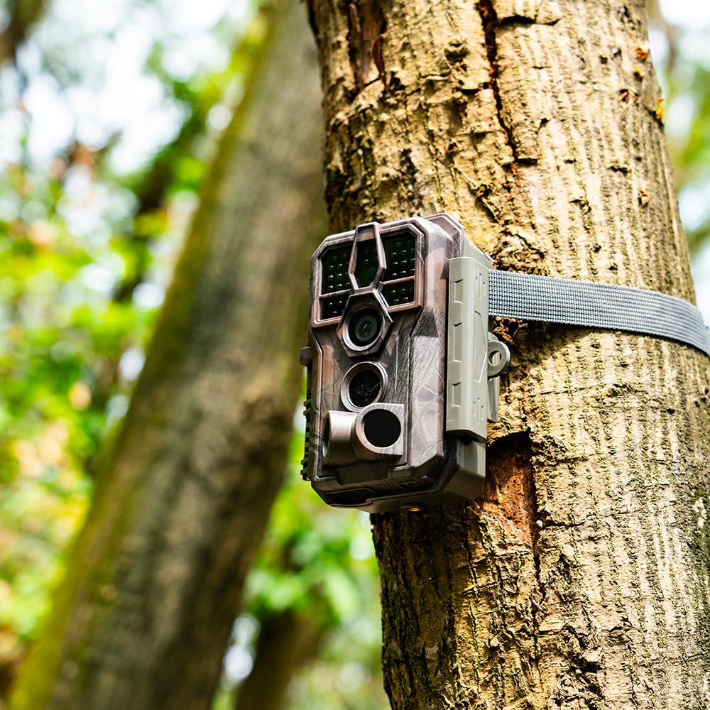 GardePro E5S Trail Camera - 64MP 1296p HD Game Camera with 100ft Night Vision, Motion Activated, Waterproof for Deer Hunting & Wildlife Monitoring | Perfect for Outdoor Adventures, Backyard Surveillance, and Nature Photography