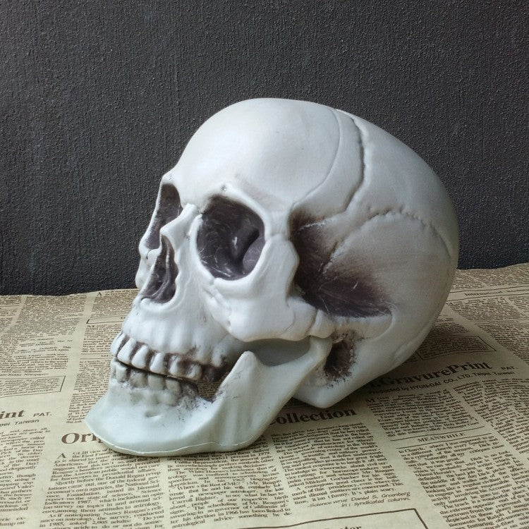 Realistic Artificial Skull Halloween Decor - Spooky Home & Party Decoration for Halloween, Haunted House, and Themed Events